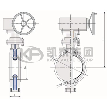 �Լг������